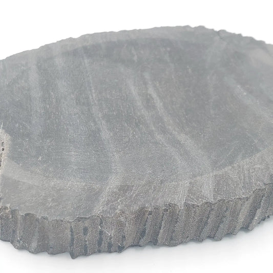Petrified wood coaster/soap dish, black