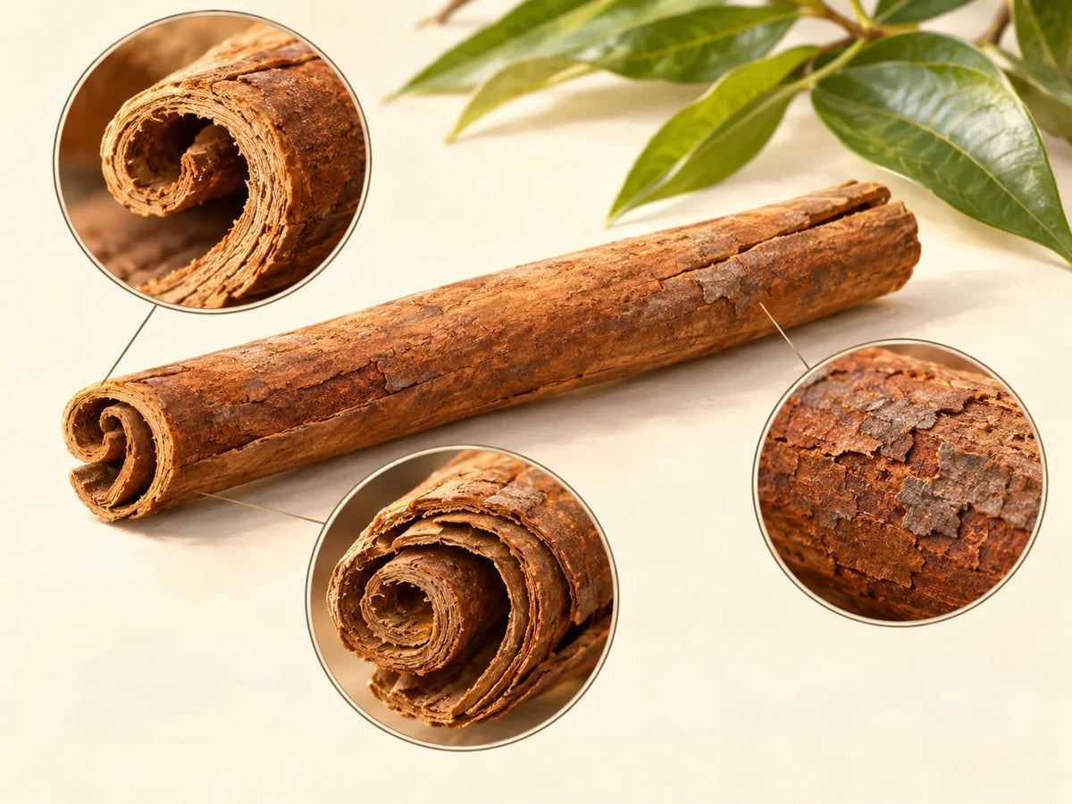 Cinnamon: scent, bark, origins and history