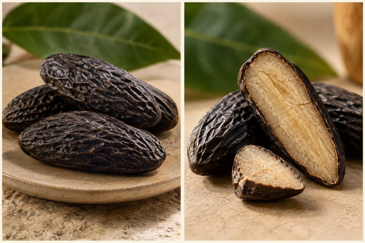 Tonka bean: origins and scent discovery